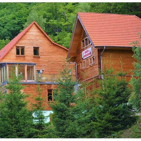 Waldhotel Altenbrak - Garni Buitenkant foto